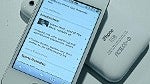 A boy from New York makes $130 000 selling white version of iPhone
