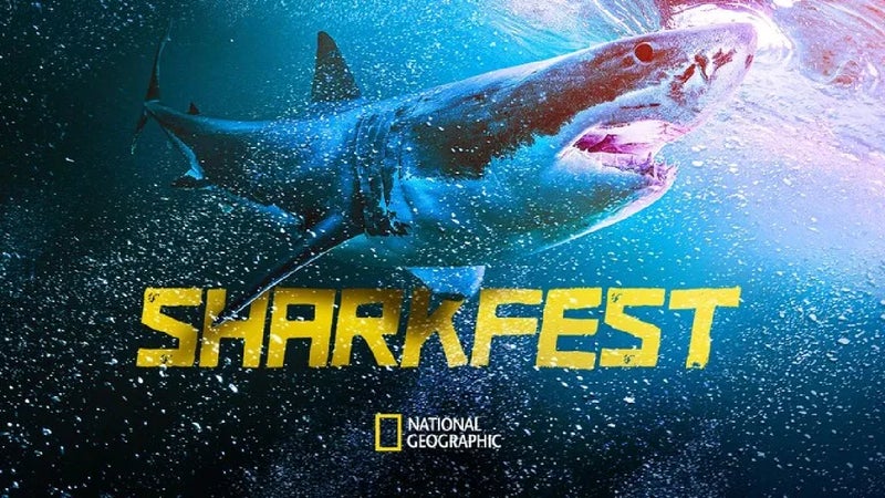 Vibe with a shark on your phone through this AR experience from Nat Geo and Verizon
