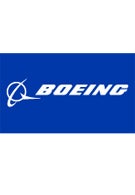 Boeing shuts down in-flight web service