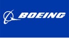 Boeing shuts down in-flight web service