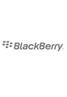 Two more Blackberry devices by the end of the year?