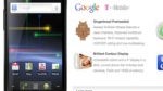 Information regarding the Google Nexus S is now for real on Best Buy's web site