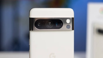 A “Pawtrait” from the Pixel 8 Pro might help shelter dogs get adopted faster, says Google and gi