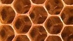 Honeycomb now due for February launch as Android 2.4