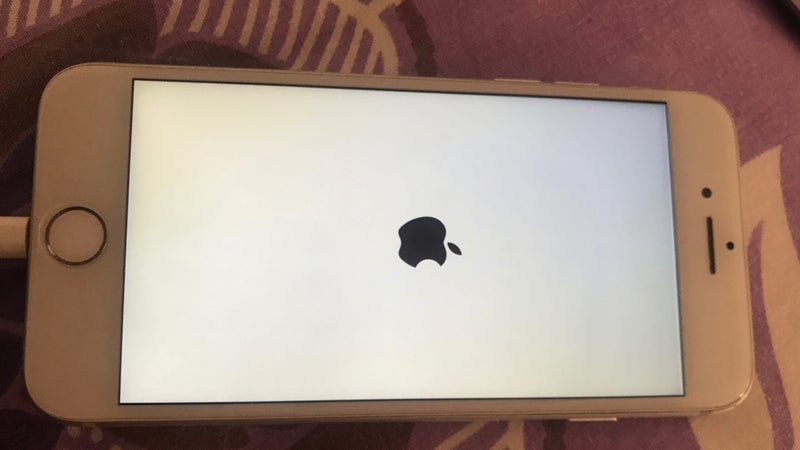 Is your iPhone or iPad stuck on the Apple logo? This is what you need to do