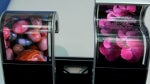 Samsung bringing its flexible and transparent AMOLED displays to CES next week