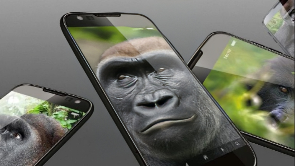 Smartphones with Gorillas on the screens.