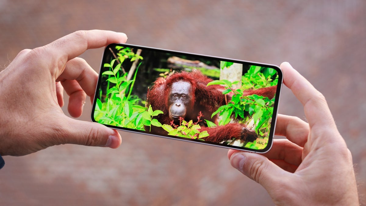 Samsung Galaxy S24 FE