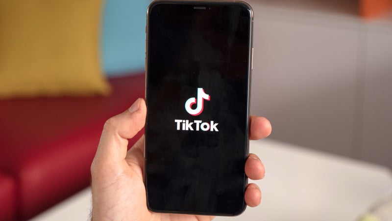 Trump asks the U.S. Supreme Court to delay the TikTok ban hearing until he takes office