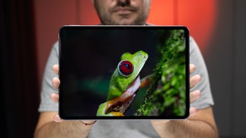 A person holds the OnePlus Pad 2 with a turned-on display, which shows a tree frog.