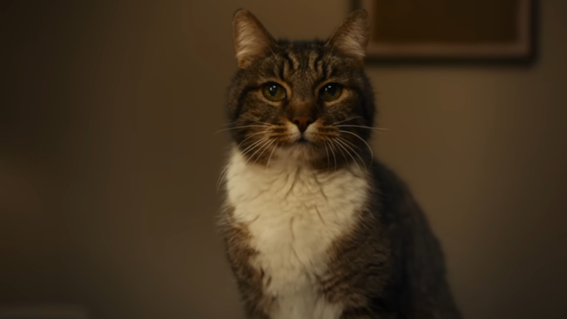 Latest iPhone ad promotes new iOS 26 AI feature that is an old Pixel 6 AI feature