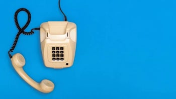 Over a third of households in this US region still hold to their landlines