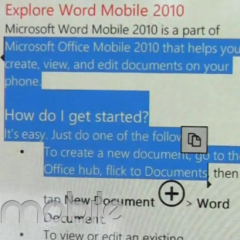 Microsoft urges users to wait for the official WP7 NoDo update