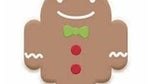 LG Optimus 2X may see its Gingerbread update in June or July