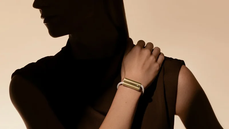 I'm done counting steps: Fitbit's founders built a $250 gadget for the rest of us