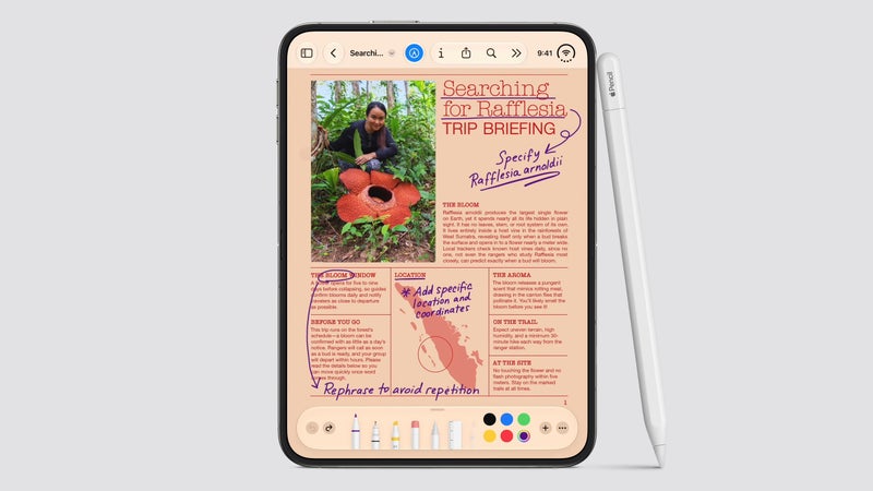 Apple’s new CEO just went against something Steve Jobs believed in with the iPhone Duo and I’m perfectly fine with that