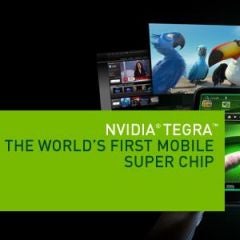 NVIDIA reports lost profits, despite the early success of its Tegra line