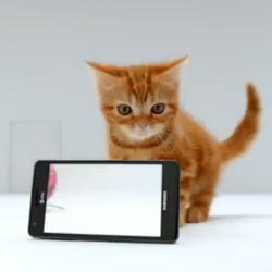 AT&T resorts to a cute kitten for Samsung Infuse 4G ads: "colors so realistic, it's almost unreal"