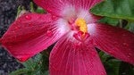 Cool images, taken with your cell phone #3