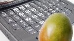 Samsung SGH-i677 will follow in footstep and be a portrait QWERTY WP7 Mango device?
