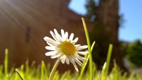 Cool images, taken with your cell phone #7