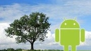 Green Android apps tailored with the environment in mind