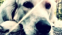Cool images, taken with your cell phone #11