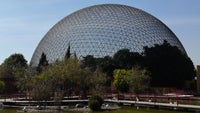 Cool images, taken with your cell phone #13