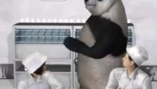 NMA strikes again with weird iPhone 5 video featuring sadistic pandas