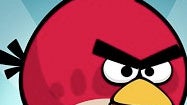 The world's first Angry Birds store