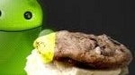 Verizon Samsung GALAXY Nexus pictured with Android 4.0.2 update