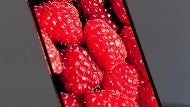 IGNIS develops technology for 300ppi+ AMOLED displays with regular RGB matrix, someone has to actually make them