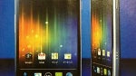 Best Buy to launch Samsung GALAXY Nexus on December 11th?
