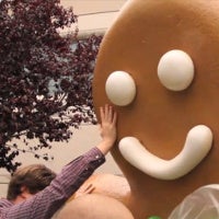 Gingerbread now on more than half of Android devices