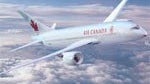 Drunken RIM executives chewed through restraints aboard Air Canada flight