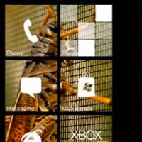 Themes for Windows Phone jazzes up Live Tiles with pictures