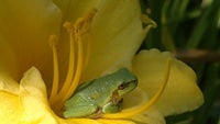 Cool images, taken with your cell phone #26