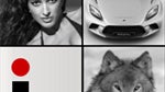 das Image for Windows Phone makes finding images a breeze
