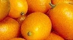 Sony Ericsson Kumquat photo leaks; model has mid to high end specs with a smaller form factor