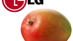Is the LG E740 the LG Fantasy?; model could be the manufacturer's initial Windows Phone 7.5 model