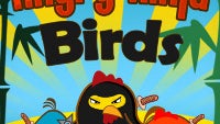 Apple fights game clones, pulls Angry Ninja Birds, Plants vs Zombie, others