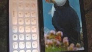 Sony's first Windows Phone might be announced at MWC, still a slider