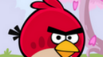 Angry Birds Seasons wants to have a hanami party