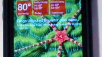Lock Screen Widgets for Windows Phone does exactly what the name implies