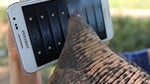 An elephant uses the Galaxy Note in Samsung's latest video
