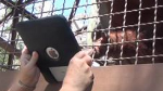 Miami Zoo monkeying around with the Apple iPad