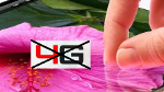Apple renames latest iPad due to international complaints over 4G branding