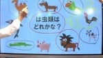 New plasma display by Panasonic allows four people to draw at same time
