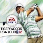 Tiger Woods PGA Tour 2012 swings its way into the Google Play Store for $4.99