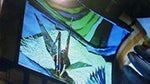 Sony shows off flexible 9.9" OLED panel